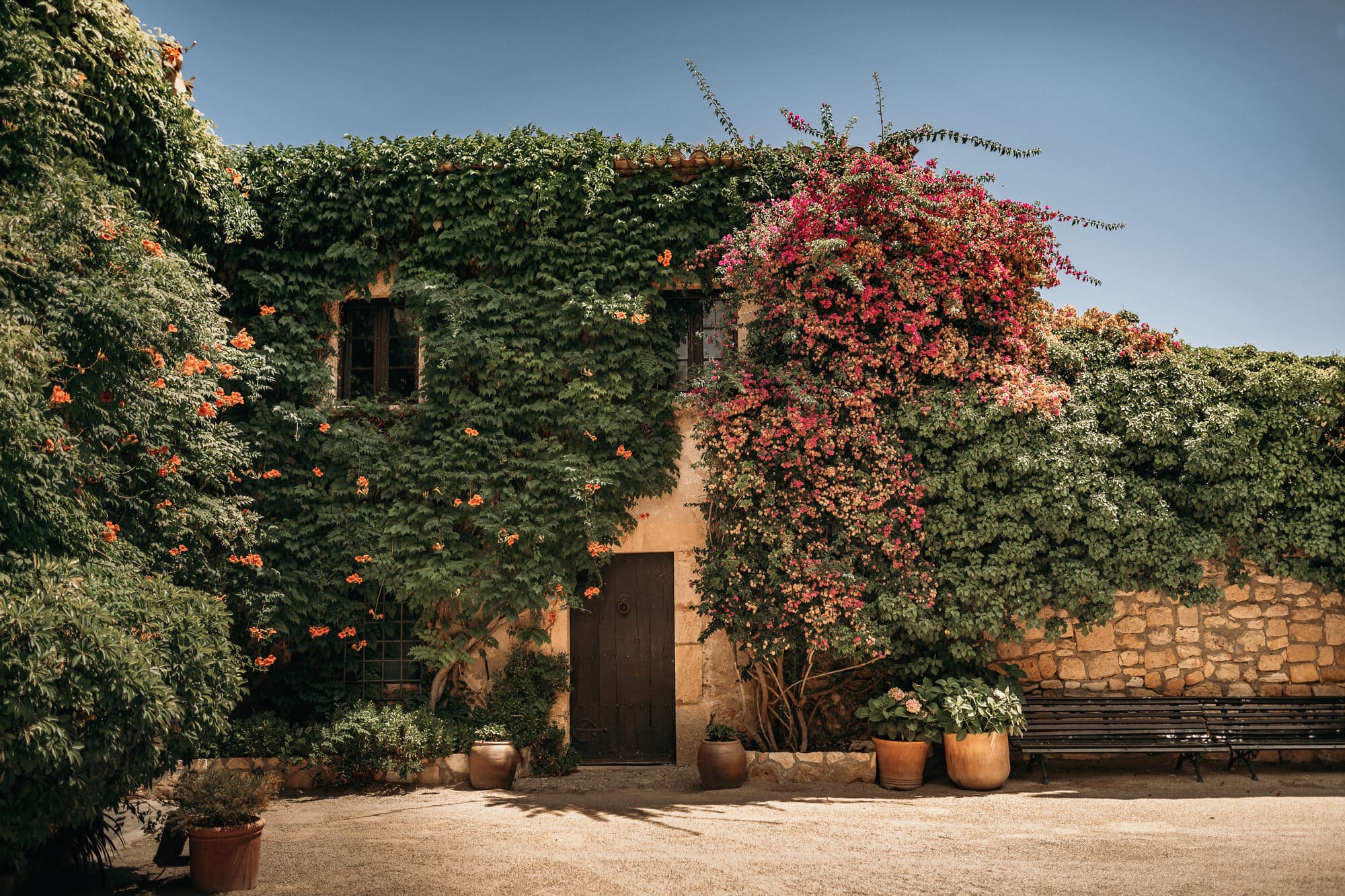 Bougainvillea-covered courtyard wall